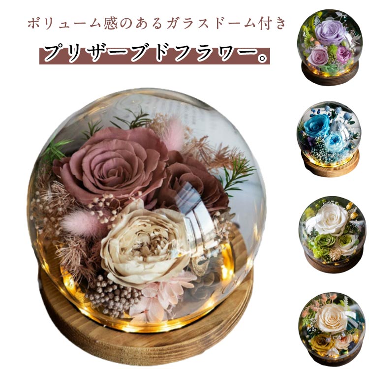 樂天商城 - プリザーブドフラワー ガラスドーム バブルドーム 枯れない花 敬老の日 フラワーギフト 女性 祖母 誕生日 花 プレゼント ギフト フラワーアレンジ 結婚祝い お返し 電報 妻 結婚記念日