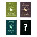 【horizon ホライズン】Sun Logo Sticker 25 (4枚セット)(ステッカー)