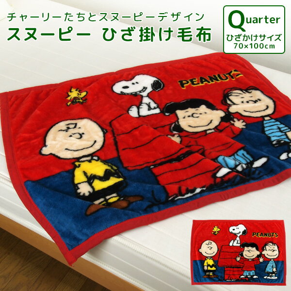 スヌーピー SNOOPY PEANUTS ひざ掛け毛布 70×100cmあったか ベビーケット スローケット ひざかけ 子供用 毛布 お昼寝ケット ブランケット 洗える ベビー キッズ 赤ちゃん 男の子 女の子 ピーナッツ 送料無料