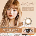 Ever Color Natural AvRbgi-4.25`-10j@JR@x@xȂ@R^NgY@傫ȓ@ځ@i`@IWuE@Rɐ@fJځ@ρ@TCYLx@J[WJLx 120@1day\tgR^NgY