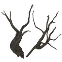 60cm水槽用 流木2本セット(黒色)【AQUASHOP wasabi】 アクアリウム用・水草水槽用流木 水草レイアウト水槽用黒枝流木