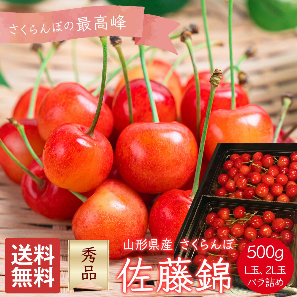さくらんぼ 佐藤錦 山形県産 秀品 500g L玉 2L玉 バラ詰め 家庭用 贈答用 ギフト 桜桃 サクランボ 果物 くだもの フルーツ