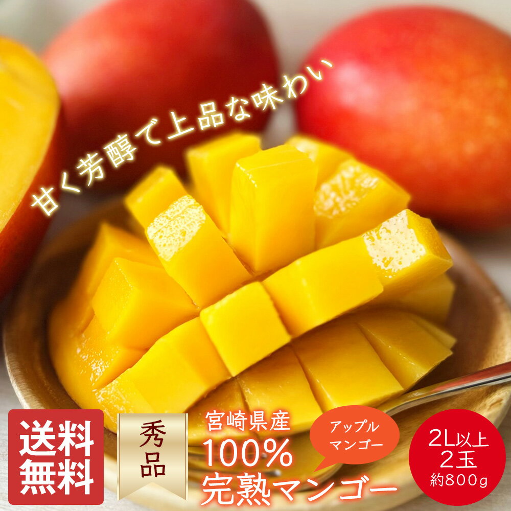 マンゴー 完熟マンゴー 宮崎県産 秀品 2L以上 2玉 約800g 家庭用 贈答用 ギフト 果物 くだもの フルーツ