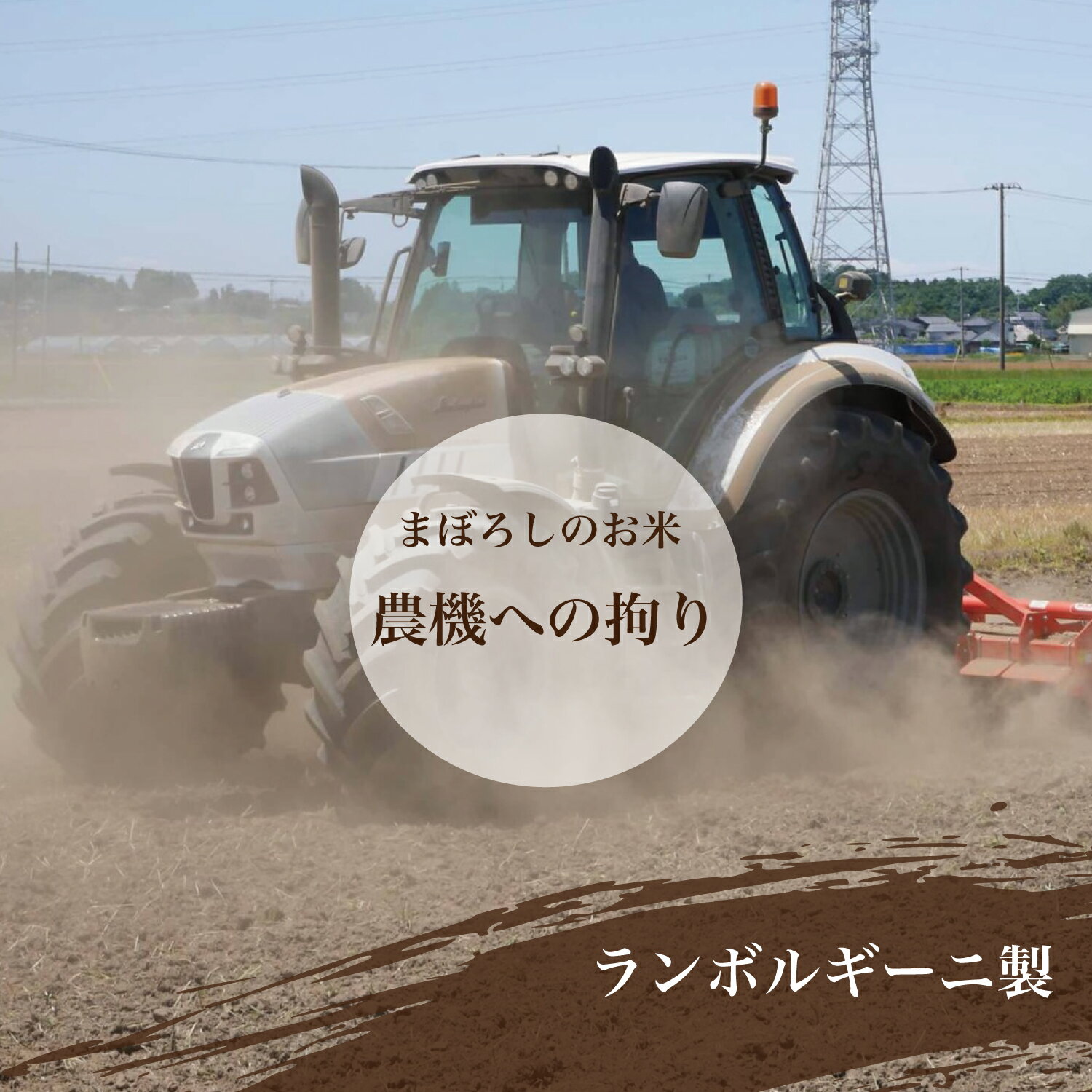 令和2年産特A特別栽培米山形県産極上つや姫5kg精米白米