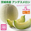 メロン 大玉 5kg 4L 3玉 優品 アンデスメロン オトメメロン イバラキング タカミメロン 茨城県産 青肉メロン 果物 フルーツ 家庭用 贈答用 ギフト ...