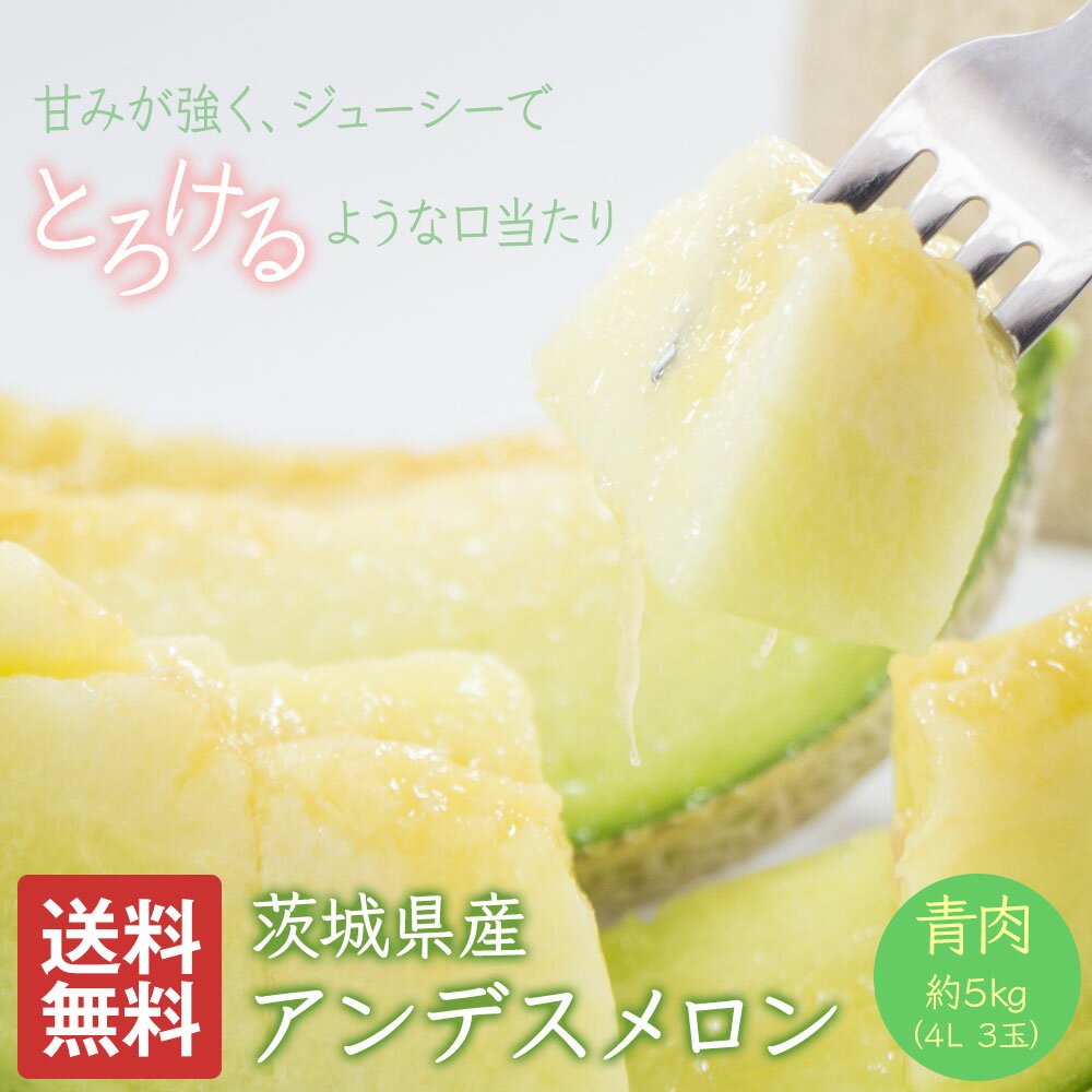 メロン 大玉 5kg 3~4L 3~4玉 優品以上 アンデスメロン オトメメロン イバラキング ...