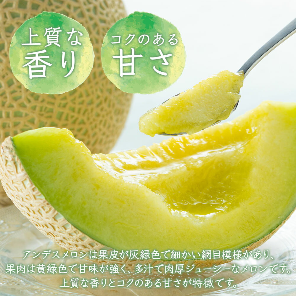 メロン 大玉 5kg 3~4L 3~4玉 優品以上 アンデスメロン オトメメロン イバラキング ...