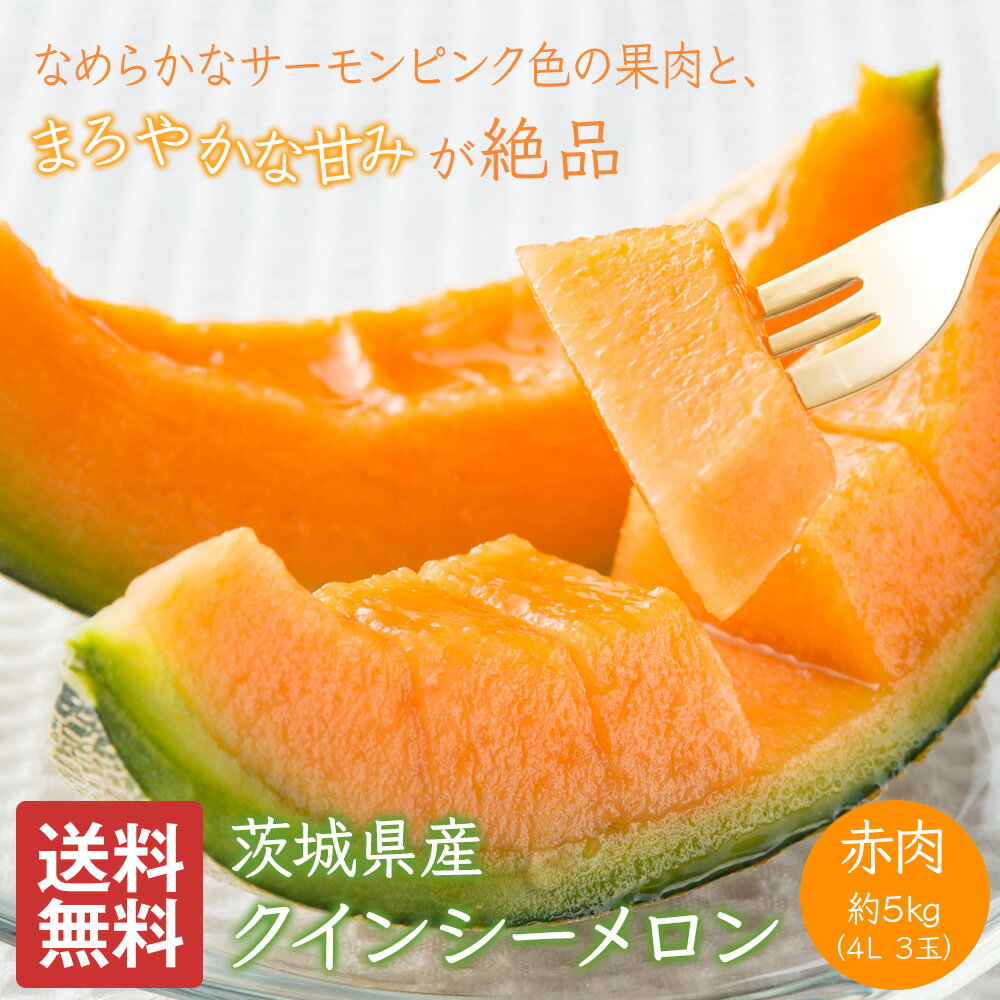 メロン 大玉 5kg 3~4L 3~4�