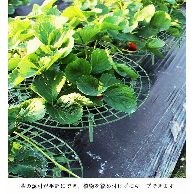 10個セット イチゴ棚 いちごプランター 苺苗棚 いちご栽培 栽培棚 園芸支柱 設置簡単 トマト ナス 園芸..