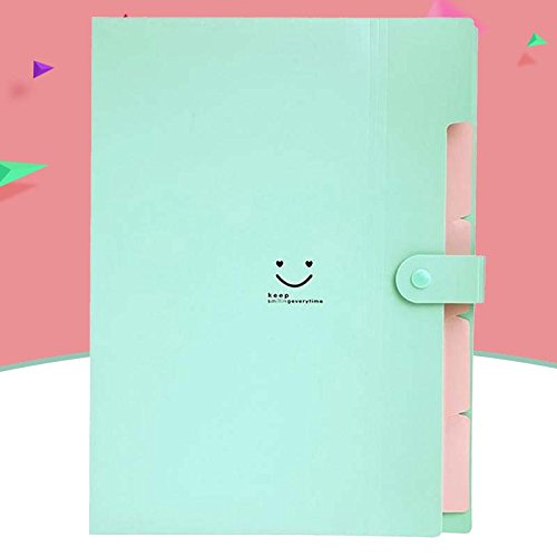 ドキュメントファイル 書類収納ボックス 5ポケット ファイルケース A4 スナップ式 防水 ポケットバッグ..