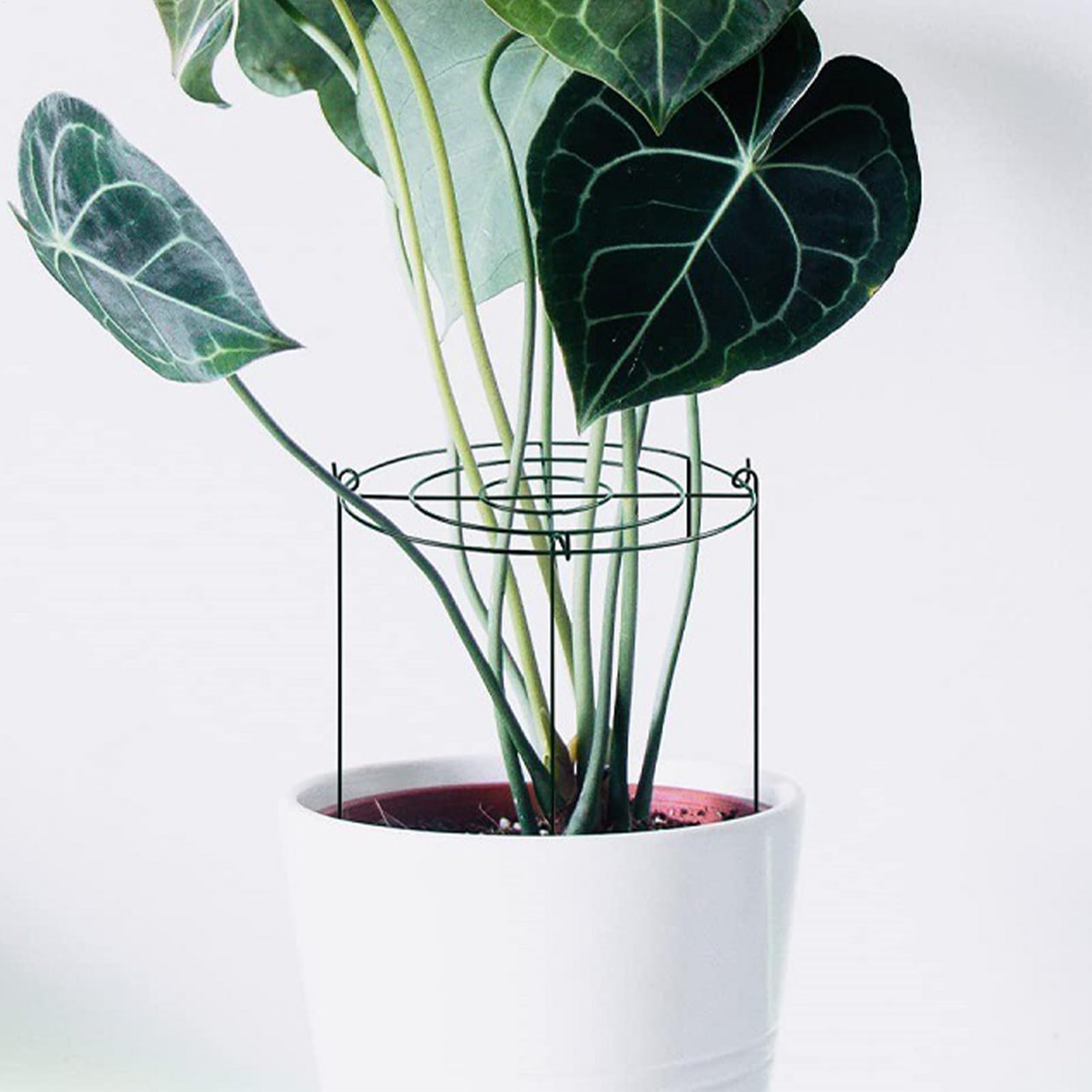 牡丹サポートケージ - 室内植物用支柱 - 頑丈な4個植物ケージ 野菜 イチゴ 花 アジサイ トマト モンス..