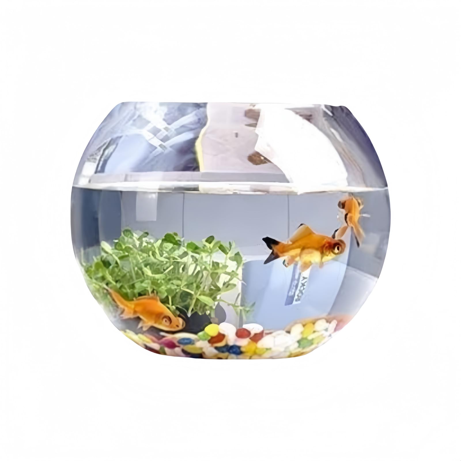 金魚鉢 大型水槽 金魚 水槽 テラリウム 水槽 厚くされたガラスの魚飼育用の水槽 円形の水耕栽培の魚飼育用の水槽 家庭用卓上亀の水槽 魚飼育用の水槽 透明な魚飼育用の水槽 丸型金魚鉢 ベースき水槽 (Size : * cm)