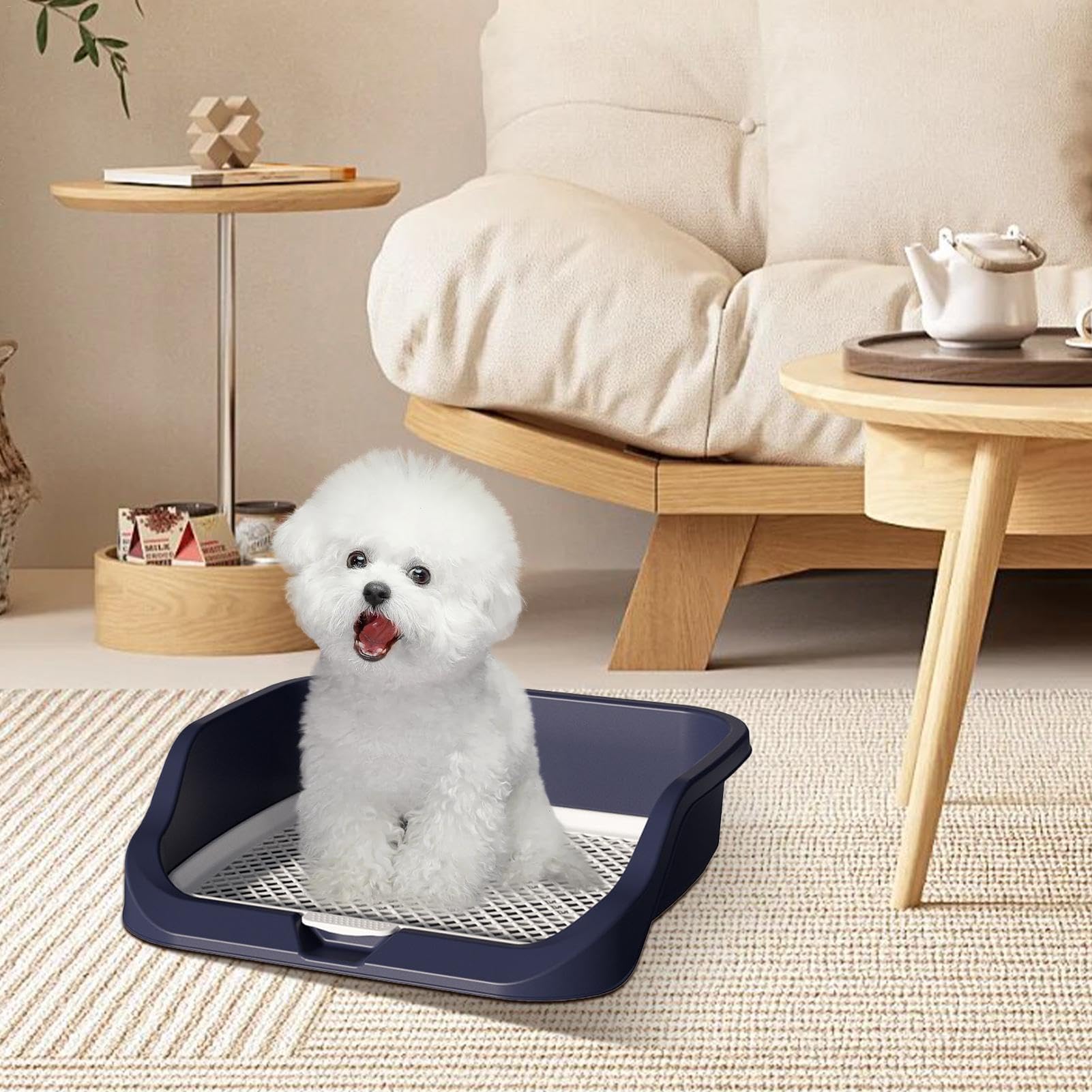 初田製作所 蓄圧式粉末消火器 6型 リサイクル券付 PEP-6