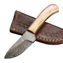 XLi[iCt DM1080OW _}XJX I[uEbh Damascus Blade Knife 甍iCt neBOiCt n^[iCt  ToCoiCt V[XiCt KbgtbN ʔ ̔