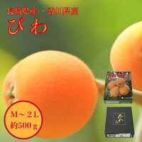 長崎びわ 香川びわ 長崎県産 香川県産 茂木 びわ 贈答 ビワ 贈り物 枇杷 M L 2L 50...