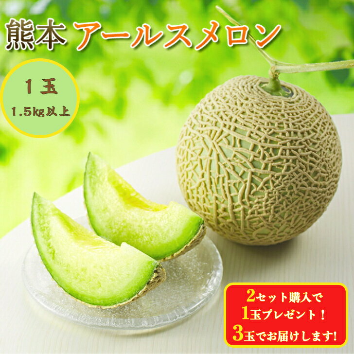 アールスメロン マスクメロン メロン JA 熊本県産 1箱1玉入り 1.5kg以上 熊本産メロン 熊本県産メロン 大玉 送料無料 高級メロン めろん 甘い 絶品 最高級 高級フルーツ 果物 くだもの ご褒美 …