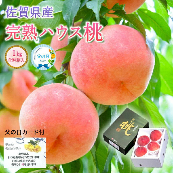 【ふるさと納税】 【令和6年産先行予約】 白桃 約3kg (6～15玉 秀品) 《令和6年8月上旬～9月下旬発送》 『フードシステムズ』 山形県 南陽市 [1384]