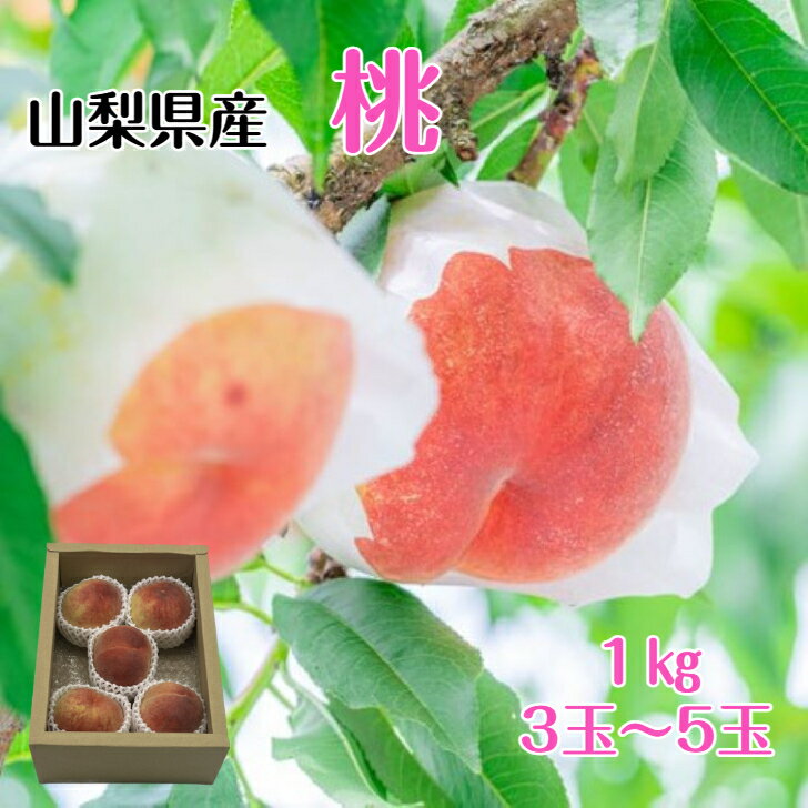 山梨県産 桃 1kg 3玉〜5玉 川中島白桃 白桃 秀品 硬