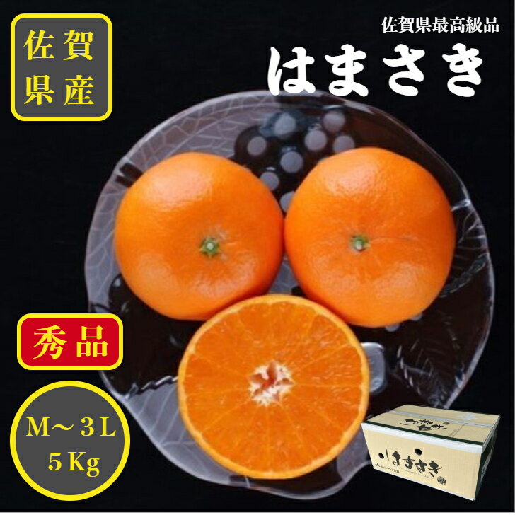 送料無料 佐賀県産 唐津 はまさき M〜3Lサイズ 約5kg はまさき みかん 麗紅 せとか 佐賀 ミカン 蜜柑 高級みかん ブランド みかん5キロ 贈答品 送料無料 ギフト 贈答 贈り物 贈答用 プレゼント 内祝い 出産祝い フルーツギフト 高級 柑橘 唐津みかんのサムネイル
