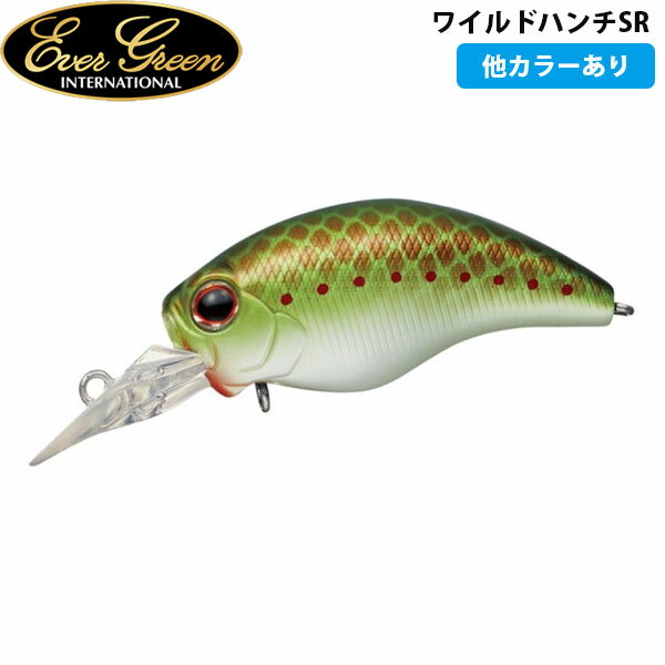 エバーグリーン EVERGREEN ワイルドハンチSR ルアー バス釣り クランクベイト AZREVG248