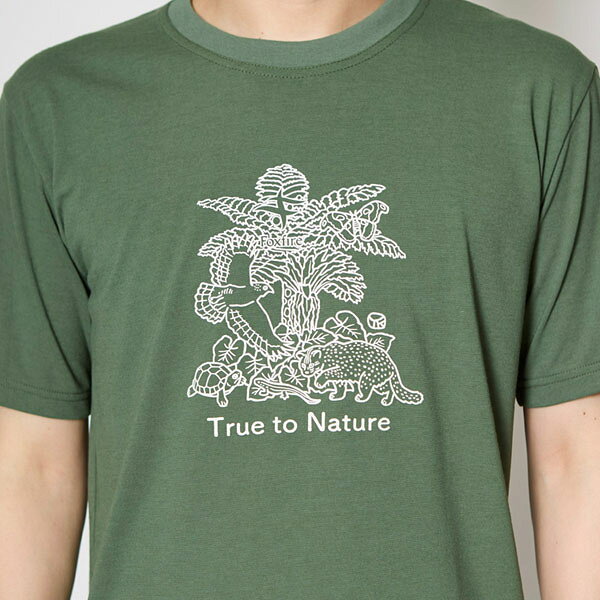 フォックスファイヤー Foxfire メンズ 半袖Tシャツ CシールドアイランドT S/S アッシュグリーン 遮熱 涼しい 速乾 登山 FOX5215629246 reweb-10225236 Retailer リテイラー サンプル画像2