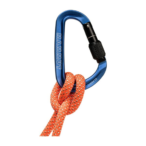 Retailer リテイラーのMAMMUT 2040-02470 Classic HMS Screwgate Carabiner Screw Gate, blue Climbing Gear マムート ギア クライミング用品 ブルー MAM2040024701550｜アングル2