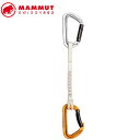 MAMMUT 2040-02500 Sender Keylock 17 cm Quickdraw Straight Gate/Bent Gate Key Lock, light grey-gold Climbing Gear マムート ギア クライミング用品 ホワイト MAM20400250033272
