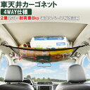 車 天井 ネット カーゴネット 2層ネット 天井収納 4way ロッドキャリー ラゲッジネット 荷物 収納ネット ルーフネット 車載 アウトドア キャンプ KAN000438