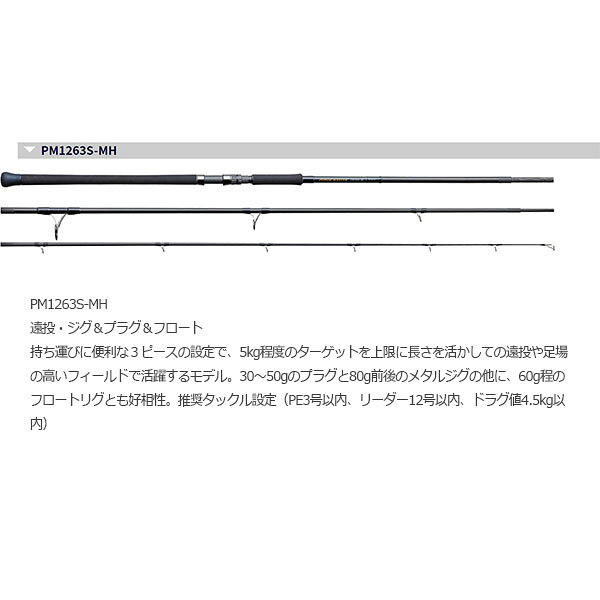 天龍 パワーマスター PM1263S-MH 竿 ロッド 3ピース スピニング SHORE 遠投・ジグ＆プラグ＆フロート テンリュウ TENRYU POWER MASTER TEN022512 reweb-10168047 Retailer リテイラー サンプル画像3
