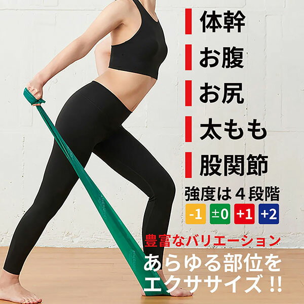 D&M ユニセックス トレーニングバンド セラバンドフォーエントリー 強度レベル+2 ブルー #TBE-4 DAMTBE4