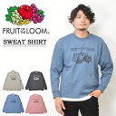 FRUIT OF THE LOOM フルーツオブザルーム 14863500 ヴィンテージ ロゴプリント スウェットシャツ トレーナー 裏毛スウェット メンズ レ...