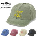 WILD THINGS ワイルドシングス PIGMENT CAP ピグメントキャップ 帽子 メンズ レディース ユニセックス 送料無料 WT25073SL