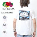 FRUIT OF THE LOOM t[cIuU[ obNvg TVc Y T 80460400