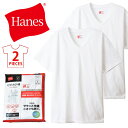 HANES ヘインズ ビジカジ魂 2P Vネック 半袖Tシャツ 抗菌防臭 綿100% パックTシャツ 半T インナー メンズ 肌着 2枚セット 2枚組 HM1ER702(4)
