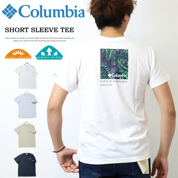 コロンビア Tシャツ メンズ SALE セール Columbia コロンビア メープスブルックショートスリーブティ PM0875 バックプリント 半袖 Tシャツ メンズ レディース ユニセックス 半袖Tシャツ