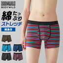 GUNZE グンゼ BODY WILD ボディワイルド ボクサーパンツ ボーダー柄 前あき 綿混 アンダーウェア 下着 パンツ メンズ BWB004A