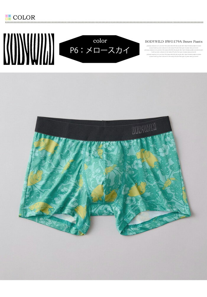 GUNZE グンゼ BODY WILD ボディ...の紹介画像3
