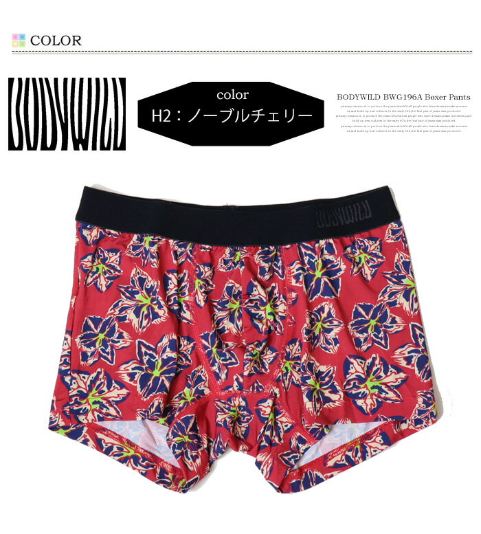 GUNZE グンゼ BODY WILD ボディ...の紹介画像3