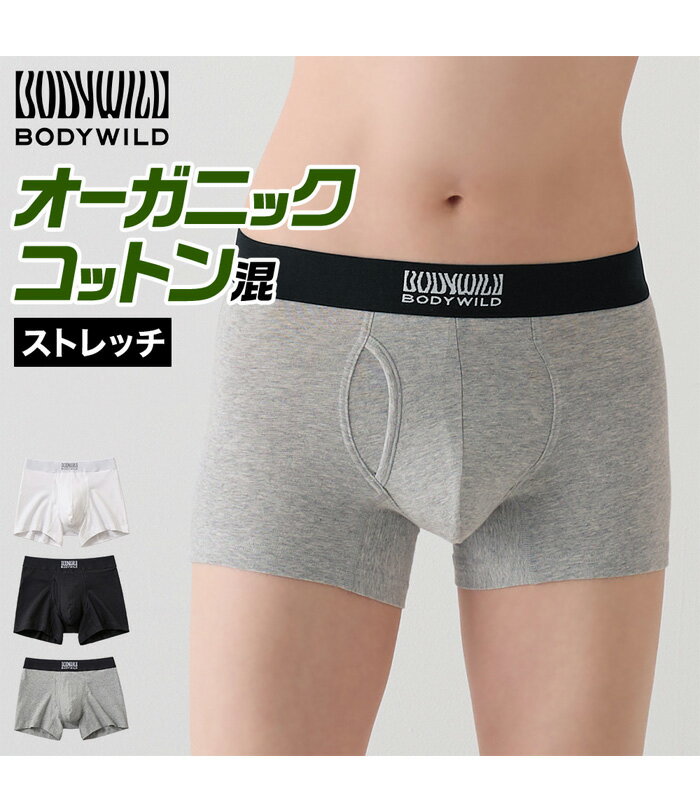 GUNZE グンゼ BODY WILD ボディ...の紹介画像2