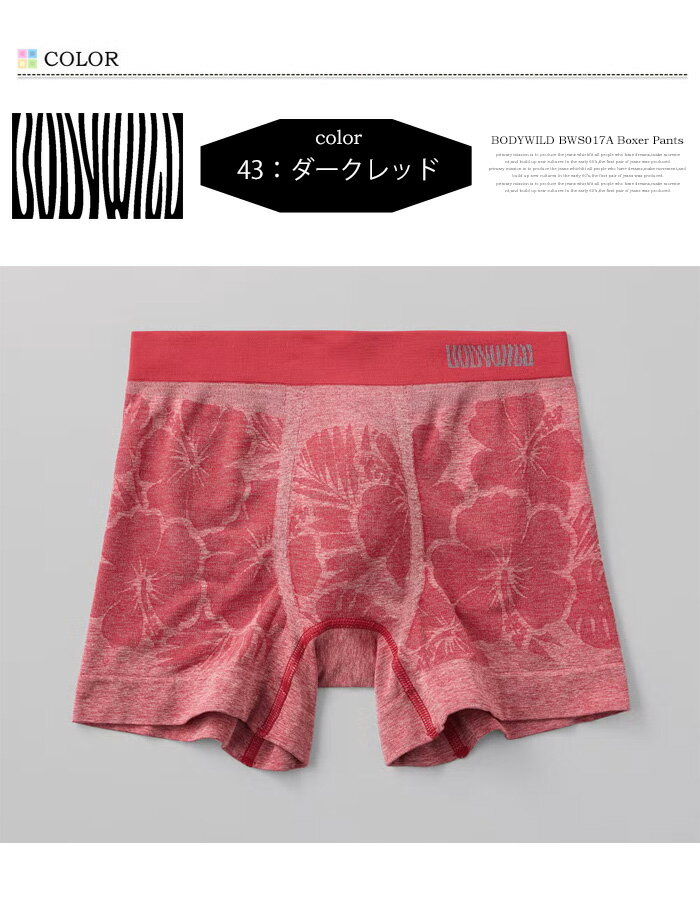 GUNZE グンゼ BODY WILD ボディ...の紹介画像3