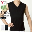 GUNZE グンゼ YG ワイジー YV0018V Vネック ノースリーブ シャツ 綿100% 無地 コットン 抗菌防臭 ビジネス アンダーウェア 下着 インナ...