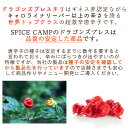 【SPICE CAMP】激辛の本場アメリカ直輸入 ドラゴンズブレス チリパウダー 10g 一味唐辛子 スパイス キャンプ シーズニング 送料無料 3