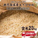 人気ランキング第7位「オルガイア 楽天市場店」口コミ数「27件」評価「4.48」【安心の減農薬】「あきほなみ」鹿児島県産 約23kg 送料無料 令和5年産 新米 玄米 お米 ネオニコ農薬不使用