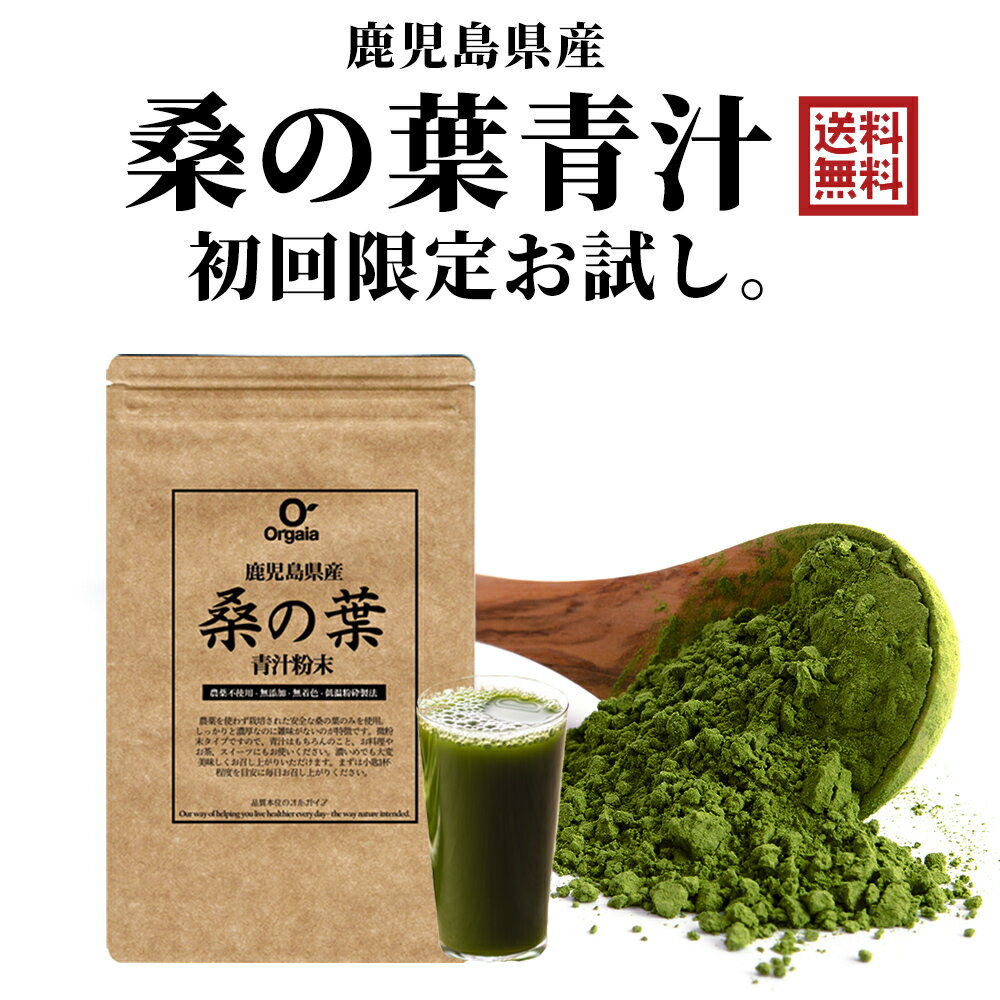 桑の葉茶 粉末 青汁 お得な120g 国産 鹿児島県 大隅半島産 100%桑茶パウダー 初回お試し【完全無添加・低温粉砕製法】品質本位・ダイエット/糖質制限/マラソン/ポッキリ ロカボ サプリメント ビタミン 送料無料