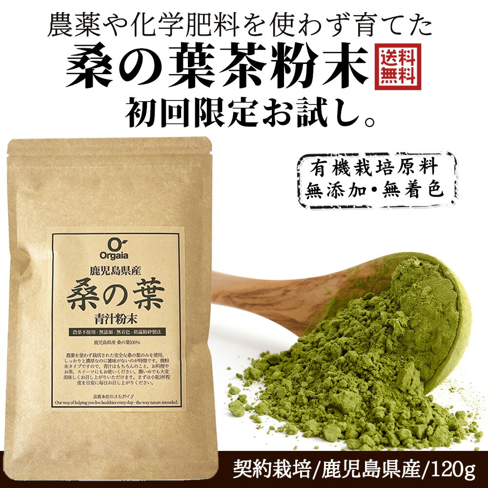 ＼ 今売れてます／「1位受賞」桑の葉茶 粉末 青汁 しっかり120g 国産 鹿児島県 大隅半島産 100%桑茶パ..