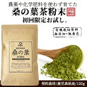 \ 今売れてます!/「1位連続受賞!」桑の葉茶 粉末 青汁 しっかり120g 国産 鹿児島県 大隅半島産 100%桑茶パウダー 初回お試し【完全無添加・低温粉砕...