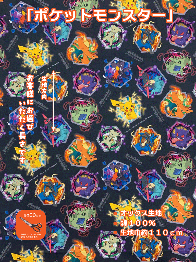 Rakuten - 【3/11まで限定！最大100％ポイントバック※要エントリー】通園 通学 袋 小物 生地 布 スモック 人気 おとこのこ キッズ アニメ テレビ】