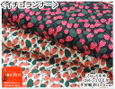 お買い物マラソン【ブロード生地】●『イチゴランナー』●【生地 コットンプリント ワンピース スカート お洋服 袋 小物 チュニック ウェア お花 花 小花 定番...