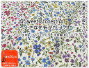 【ブロード生地】☆Sweets forest☆小