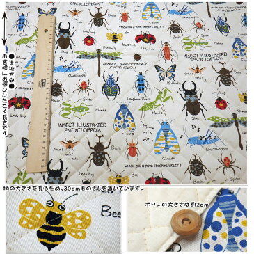 【キルティング生地】●昆虫図鑑●※ネコポス数量6まで対応※【生地 昆虫 クワガタ カブト かぶとむし ボーイ 入園入学通園通学 男の子 虫 バッタ かっこいい 人気】